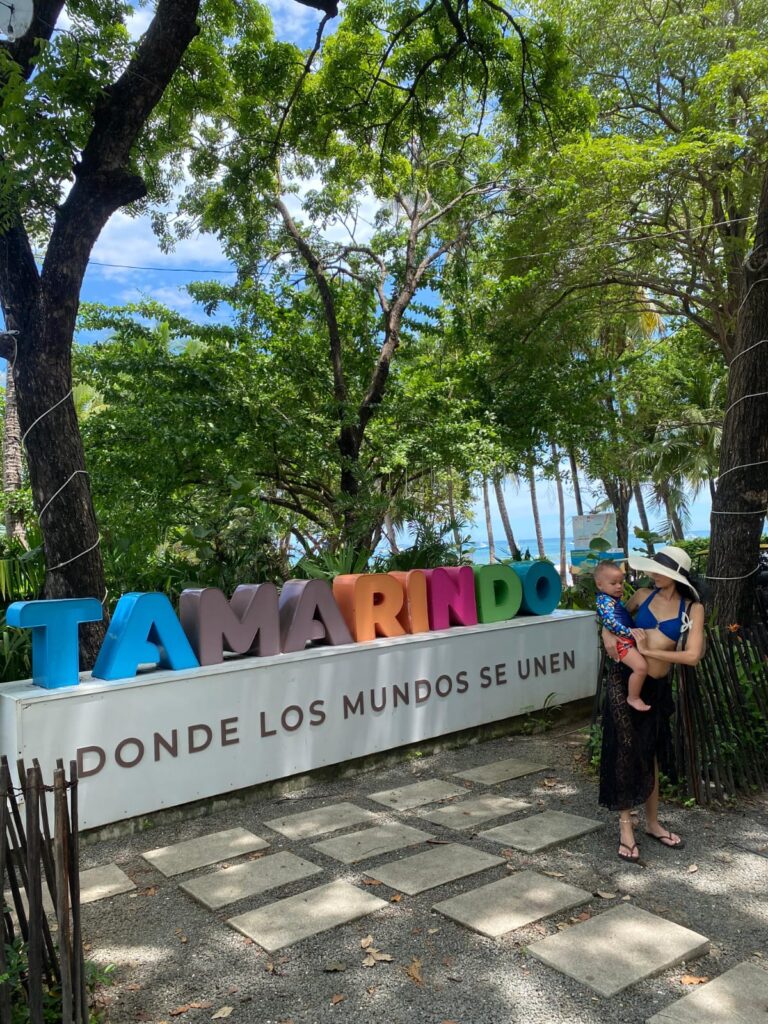 whatsapp image 2026 03 20 at 03.06.55